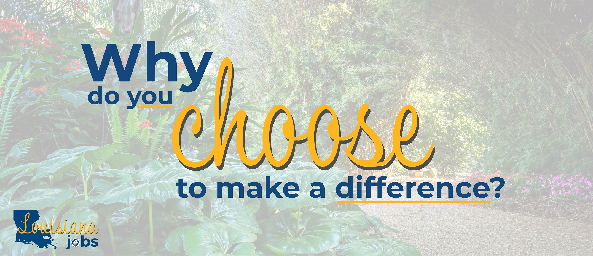 Why do you choose to make a difference?